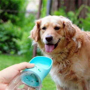 portable dog drinking bottle for outdoor pet hydration