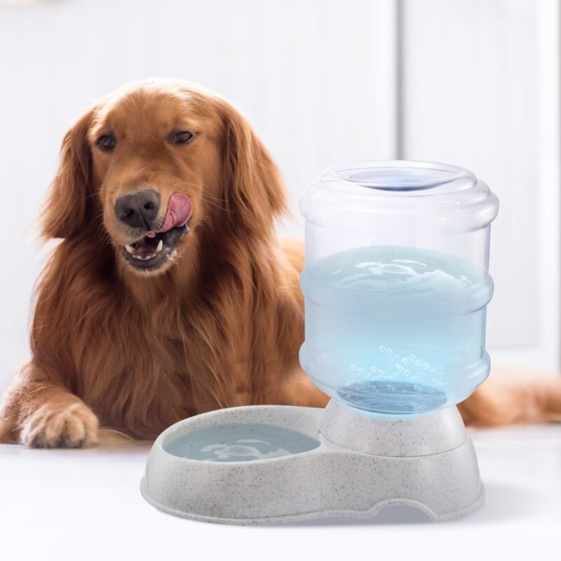 How to Keep Your Dog Hydrated: The Complete Guide
