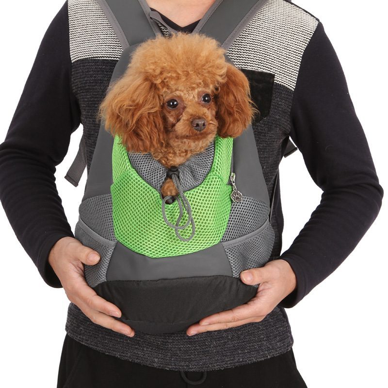 Dog Backpack Carriers for Hiking & Travel: Best Picks (2026)