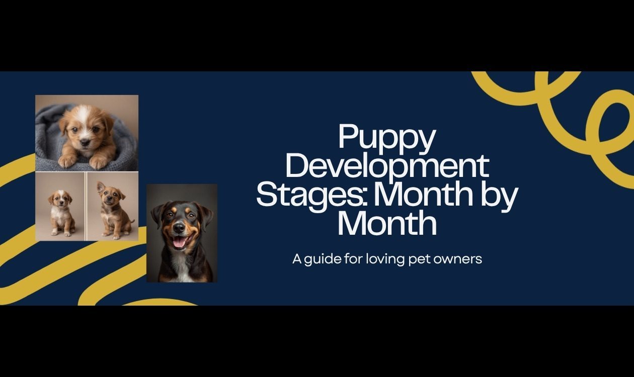 Puppy Development Stages by Month: Complete Growth Guide 0-12 Months