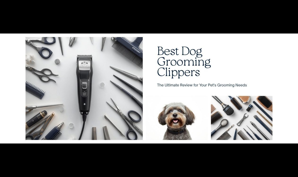 Best Dog Grooming Clippers: Top Picks for Every Coat Type in 2025