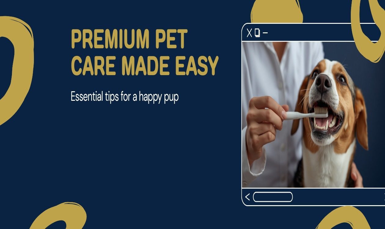 How to Brush Your Dog Teeth β Person Gently Brushing Dog Teeth for Dental Health