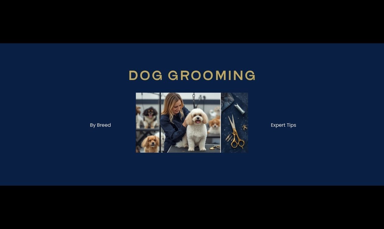 Dog Grooming Guide by Breed โ Professional Groomer Styling Dog with Breed Appropriate Coat Care