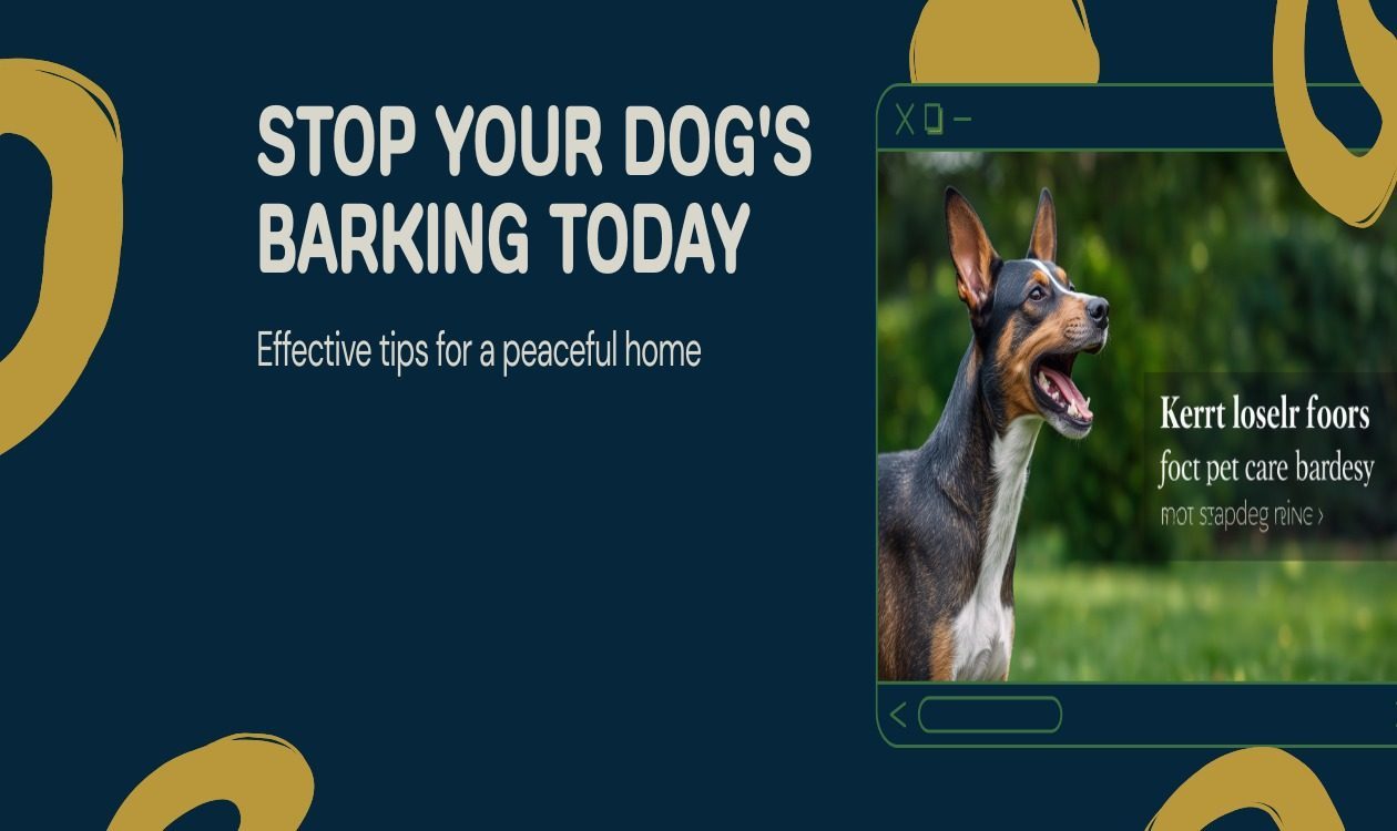How to Stop Dog Barking โ Alert Dog Barking Outdoors with Expressive Face