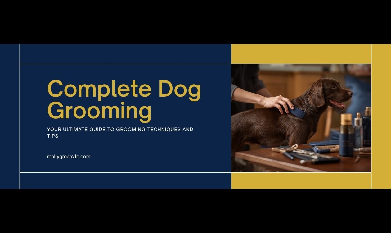 Dog Grooming Schedule: How Often to Brush, Bathe and Trim Every Breed