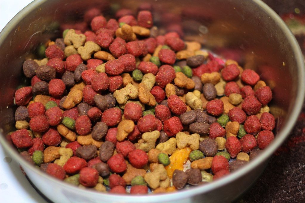 Best Dog Food for Sensitive Stomach β Happy Dog with Premium Quality Nutritious Food Bowl