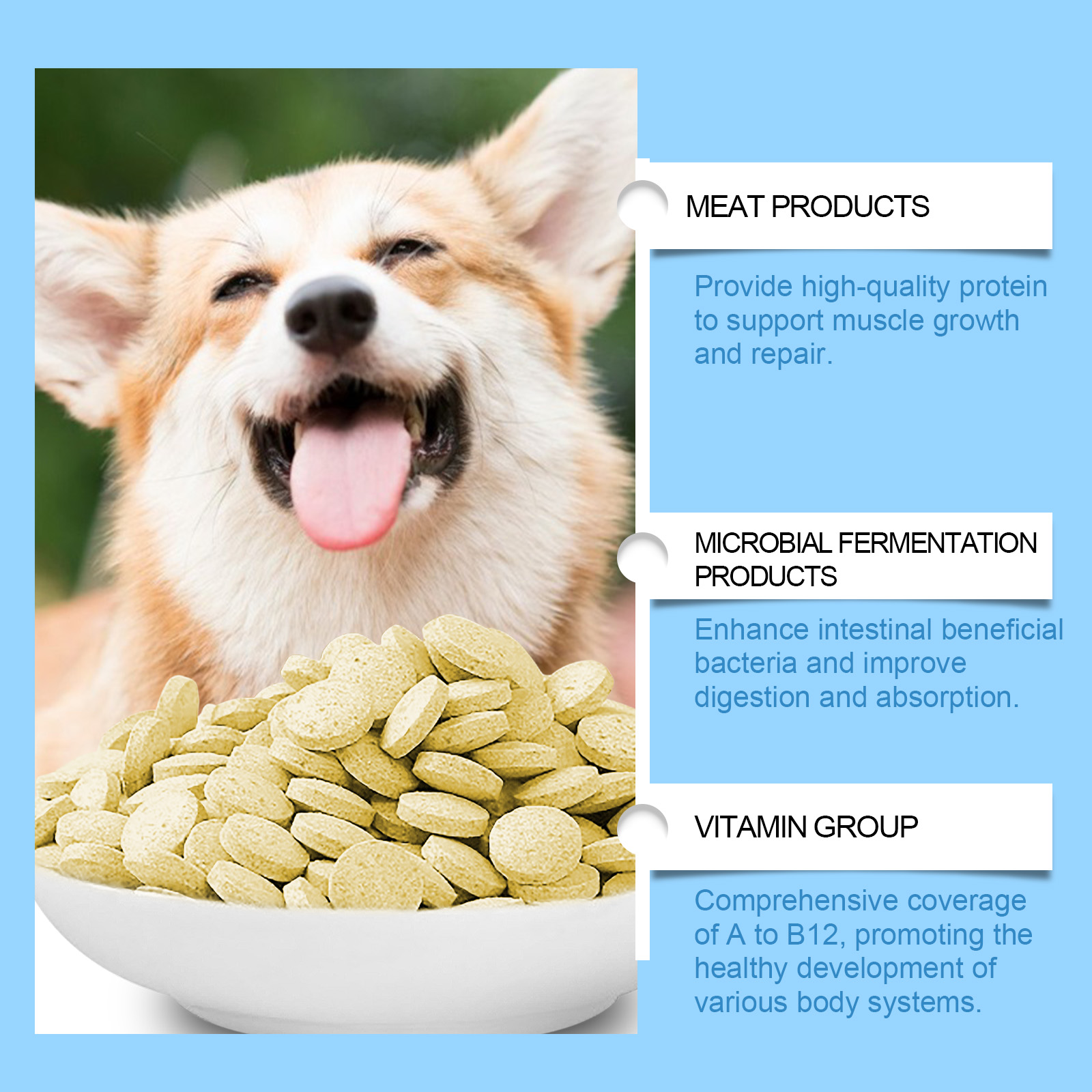 Dog Multivitamin Tablets, Daily Nutritional Supplement For Dogs, Supports Skin Coat, Joint, Digestion, Immune & Vision Health, 80 Chewable Tablets