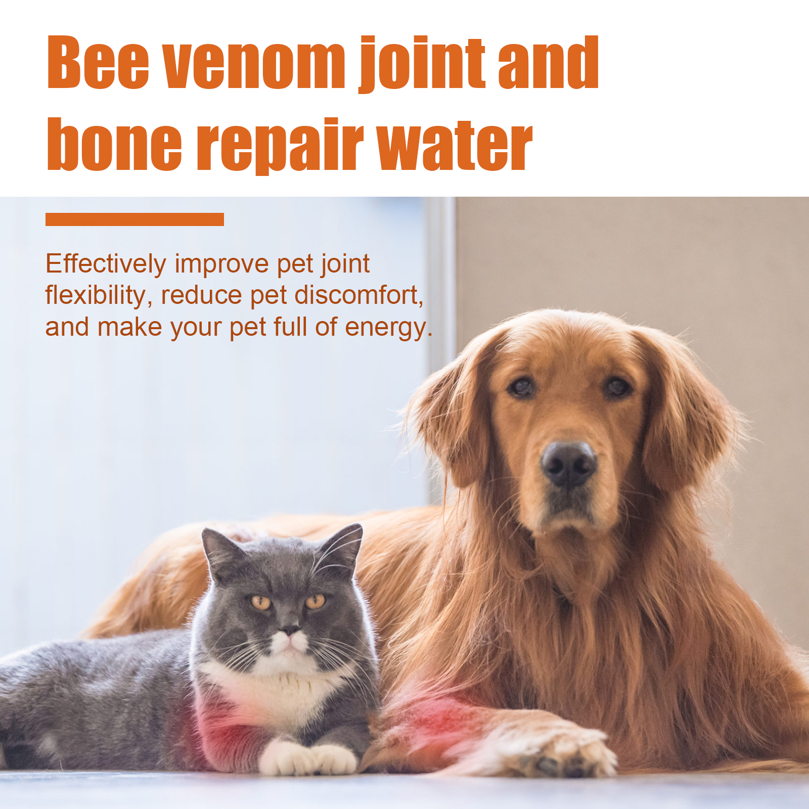 Pet Bee Joint Oil For Dogs & Cats, Joint Support Supplement Oil Relief Joint Discomfort, Improve Mobility & Repair Joint Tissue, 30ml