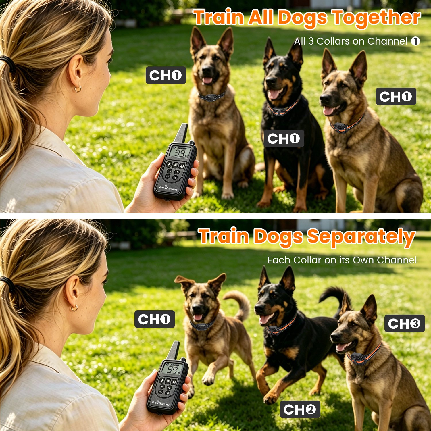 Dog Training Collar With Remote